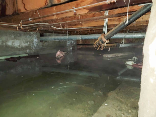 Best Water damage restoration near me  in Monroe, GA