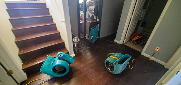 Best Water damage restoration near me  in Monroe, GA