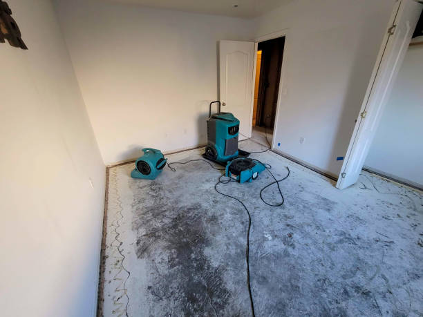 Best Flood restoration services  in Monroe, GA