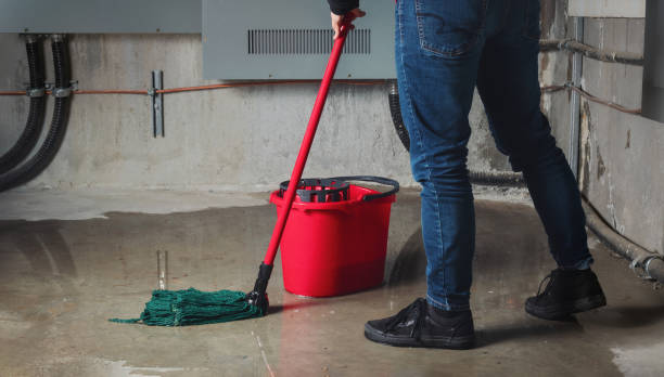 Best Water damage contractors near me  in Monroe, GA