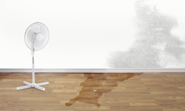 Best Water damage repair service  in Monroe, GA