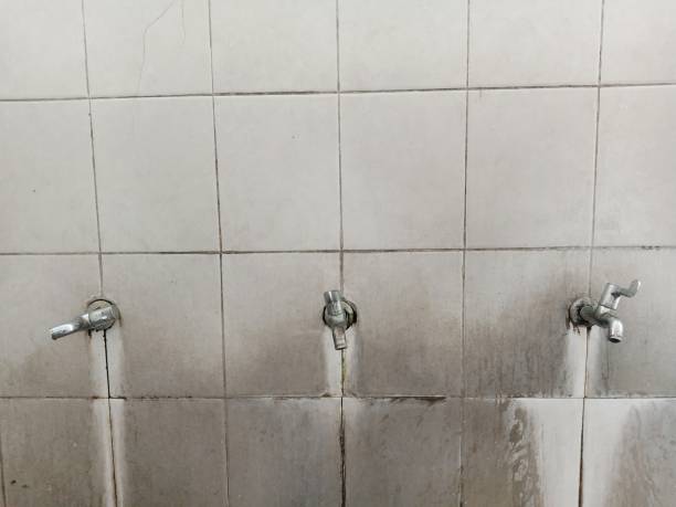 Best Basement water damage restoration  in Monroe, GA