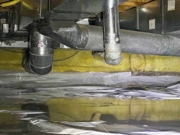 Best Residential water damage restoration  in Monroe, GA