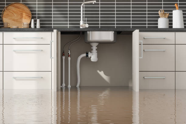 Best Flooded house restoration  in Monroe, GA