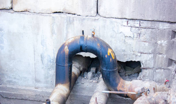 Best Water damage cleanup near me  in Monroe, GA